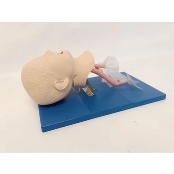 Модель интубации псевдочеловеческой трахеи новорожденного/младенца/ребенка, смоделированная