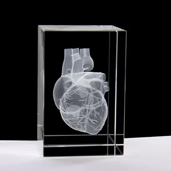 Хороший подарок - медицина Медицина Медицина Внутренняя медицина Доктор сердце Статуэтка 3D Кристалл АРТ статуя -БЕСПЛАТНАЯ СТОИМОСТЬ ДОСТАВКИ