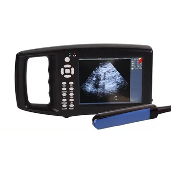  Тест крупного рогатого скота 5,6-дюймовый экран Ветеринарный ультразвуковой сканер Корова Свинья Хип Лошадь Ферма Портативная ультразвуковая машина для тестирования беременности