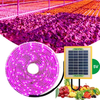 Solar SMD 2835 Светодиодная полоса для выращивания растений Полный спектр 5 В 5 Вт Фитолампа для выращивания цветов Теплица Палатка Фитолампа